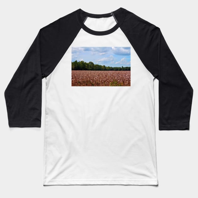 Field Of Cotton Balls Baseball T-Shirt by Cynthia48